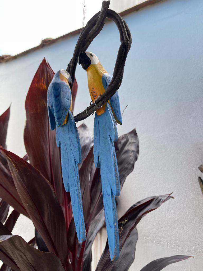 Chales Camburi Sao Sebastiao  Ngoại thất bức ảnh